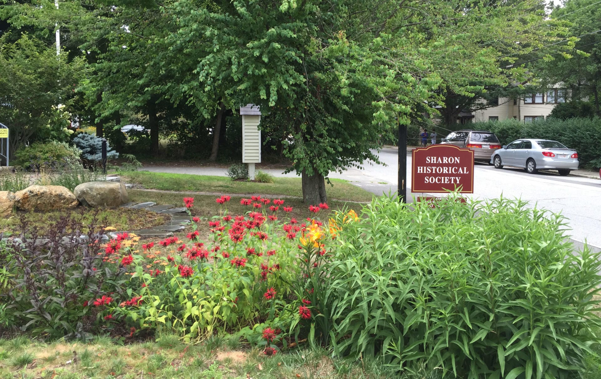 医疗办公室雨水花园丨美国普罗维登斯-35