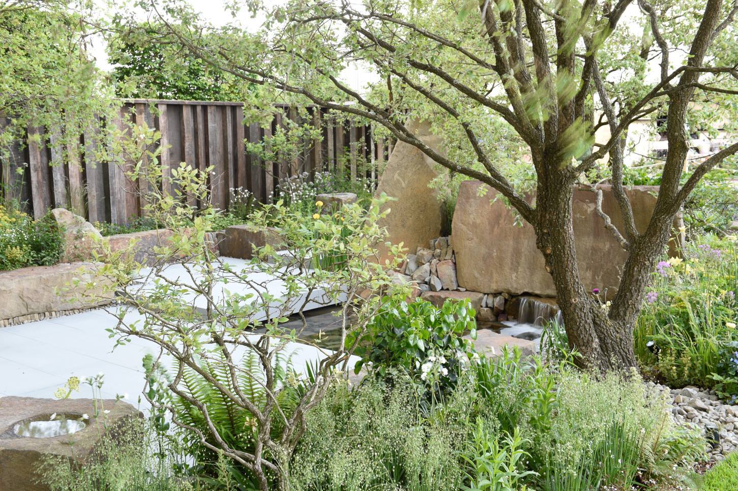 橡树林的回忆 | Cleve West 的 M&G 花园-12