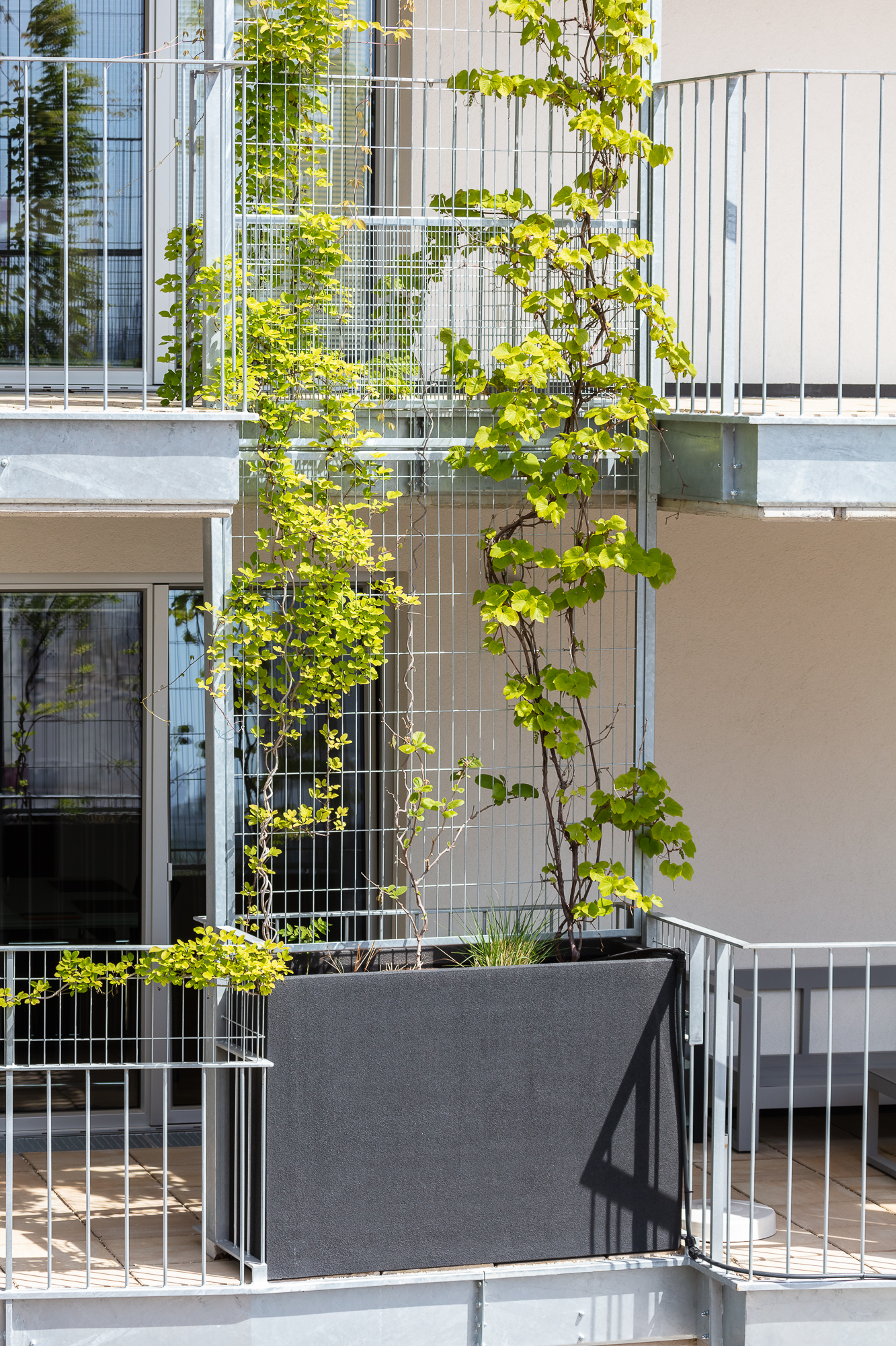 生活花园丨INNOBA-9