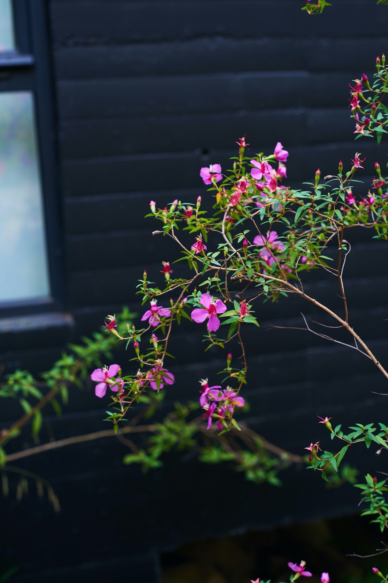 石线绿意 · 墨西哥 Reserva Peñitas 园林景观设计丨Estudio Ome-7