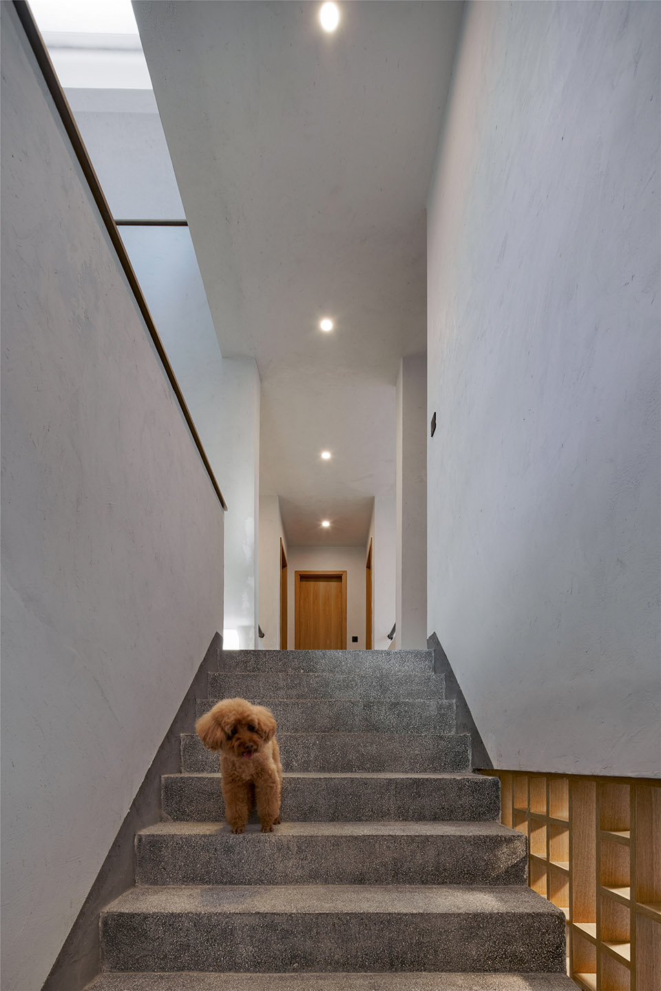 浙江龙游后山头28号住宅-83