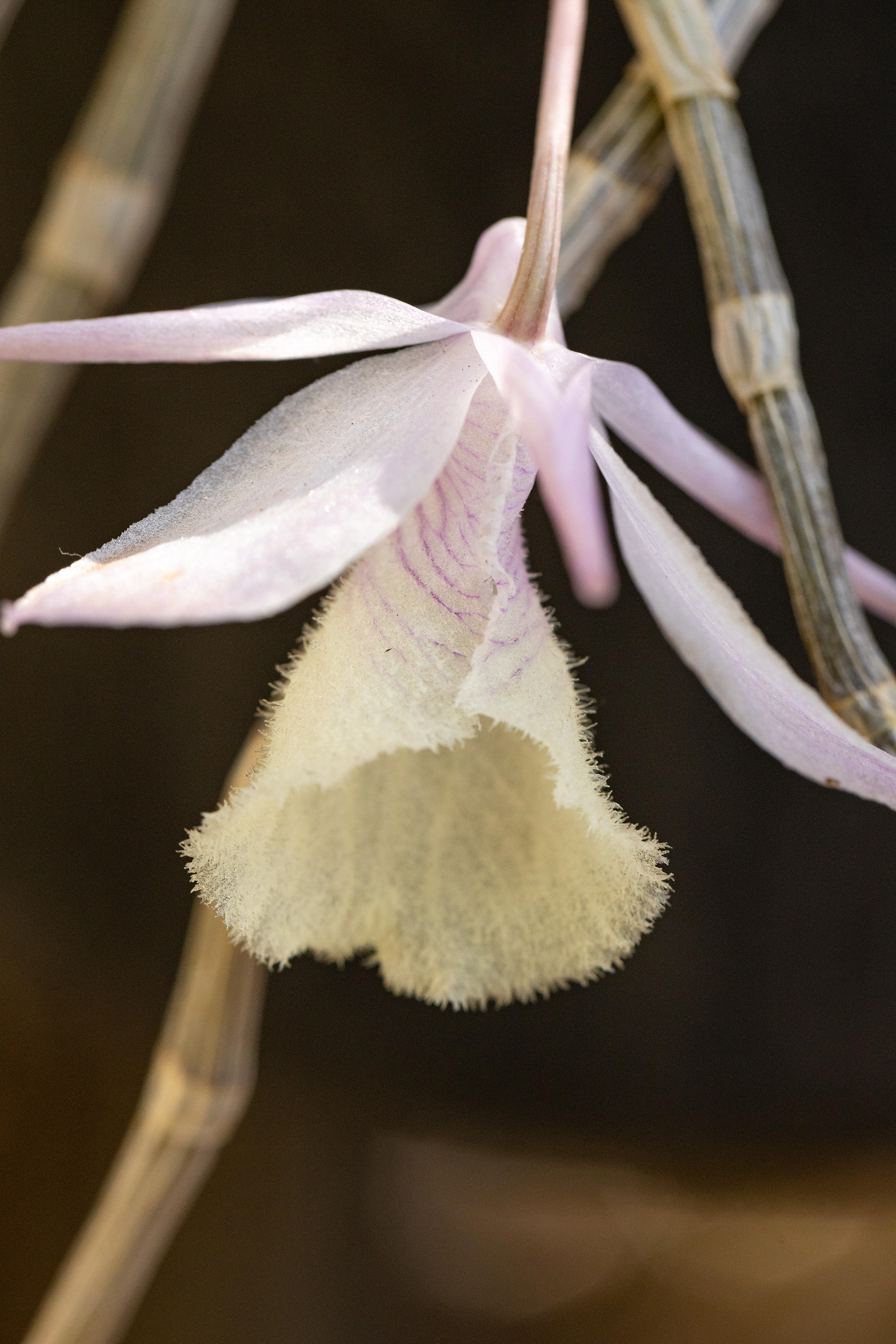 室内植物设计-22