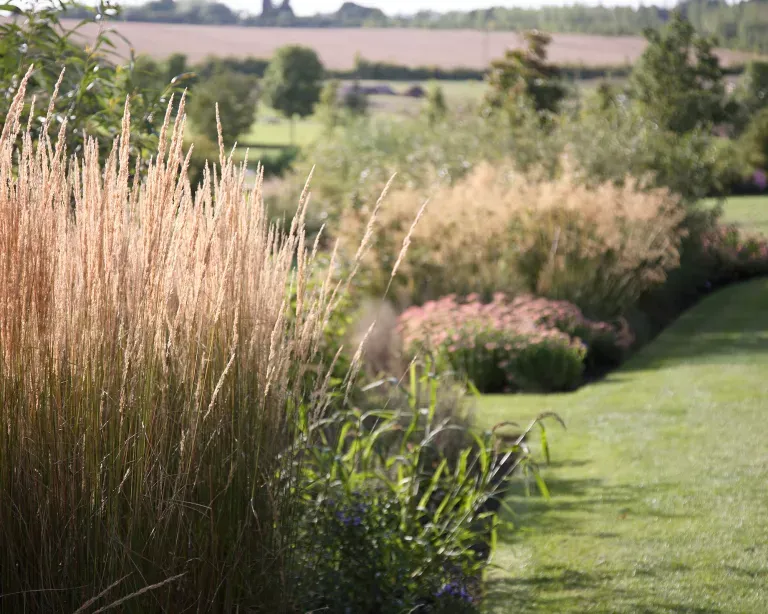 自制阿尔卑斯式假山(阿尔卑斯式花坛)-53