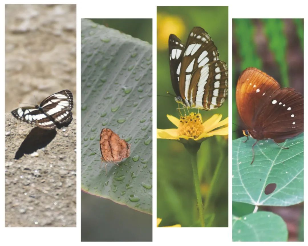 与自然和谐共生的茏腾生态馆-4