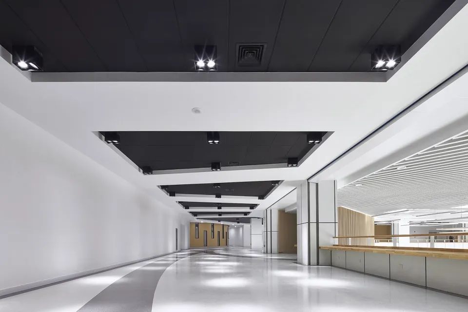 同济设计 | 复旦江湾校区综合体育馆 | 城市客厅与活力容器-48