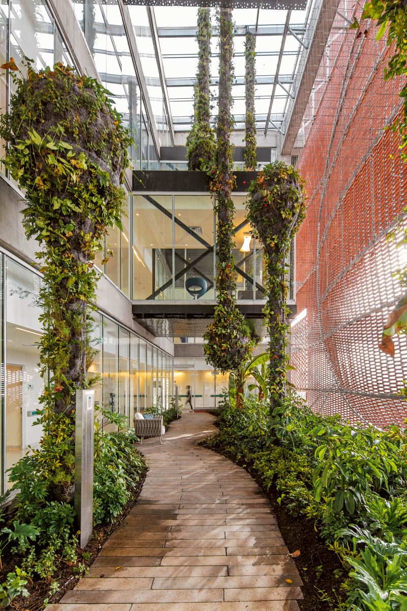 玻利瓦尔基金会圣达菲医院扩建工程-11