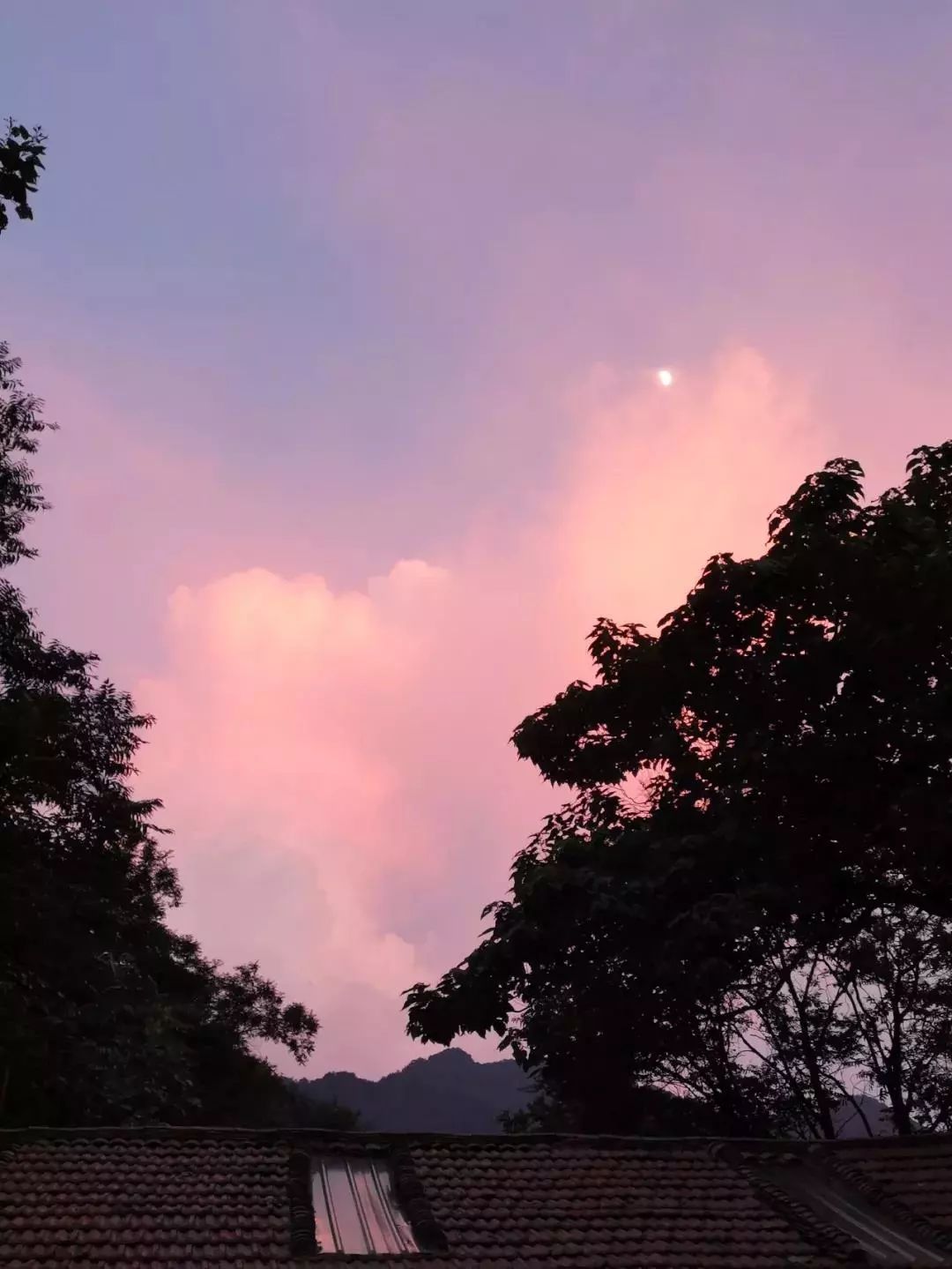 终南山书院 | 回归自然的诗意栖居-85