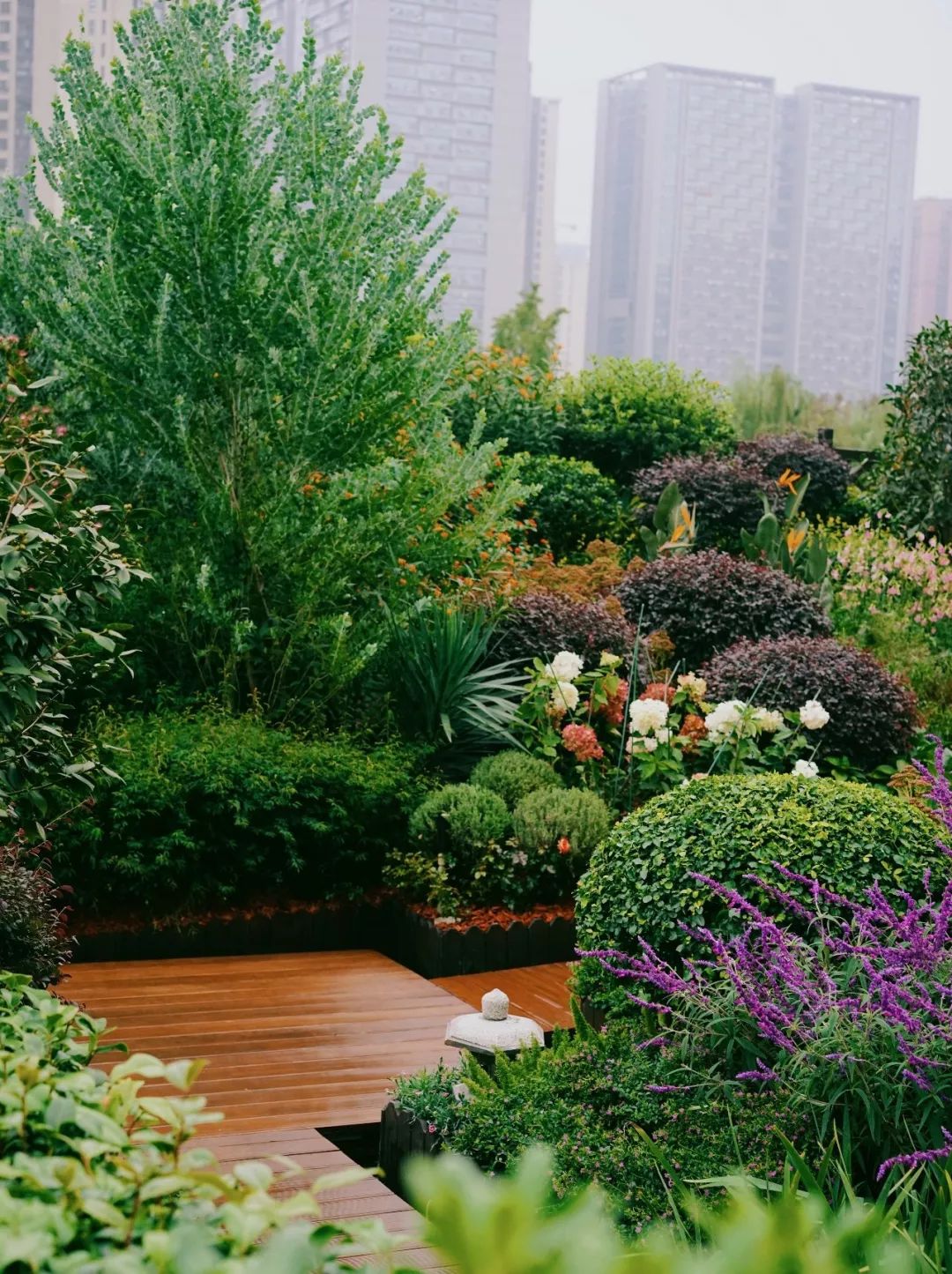 空中花园的粉紫色浪漫 | 乐梵造园的秋韵花境改造-19