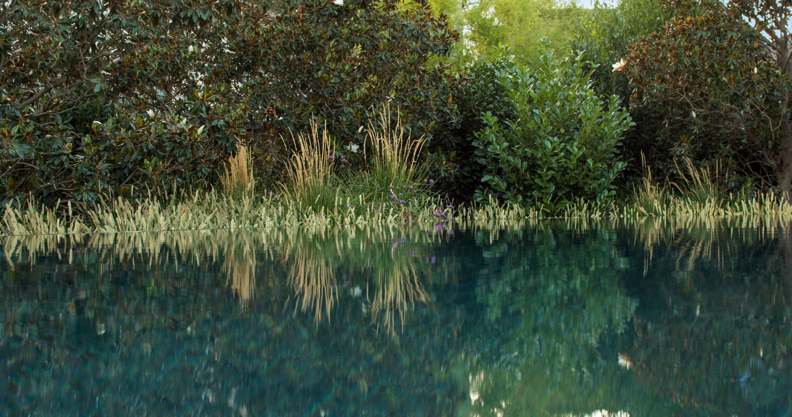 自然生长 · 私宅景观丨美国加利福尼亚-121