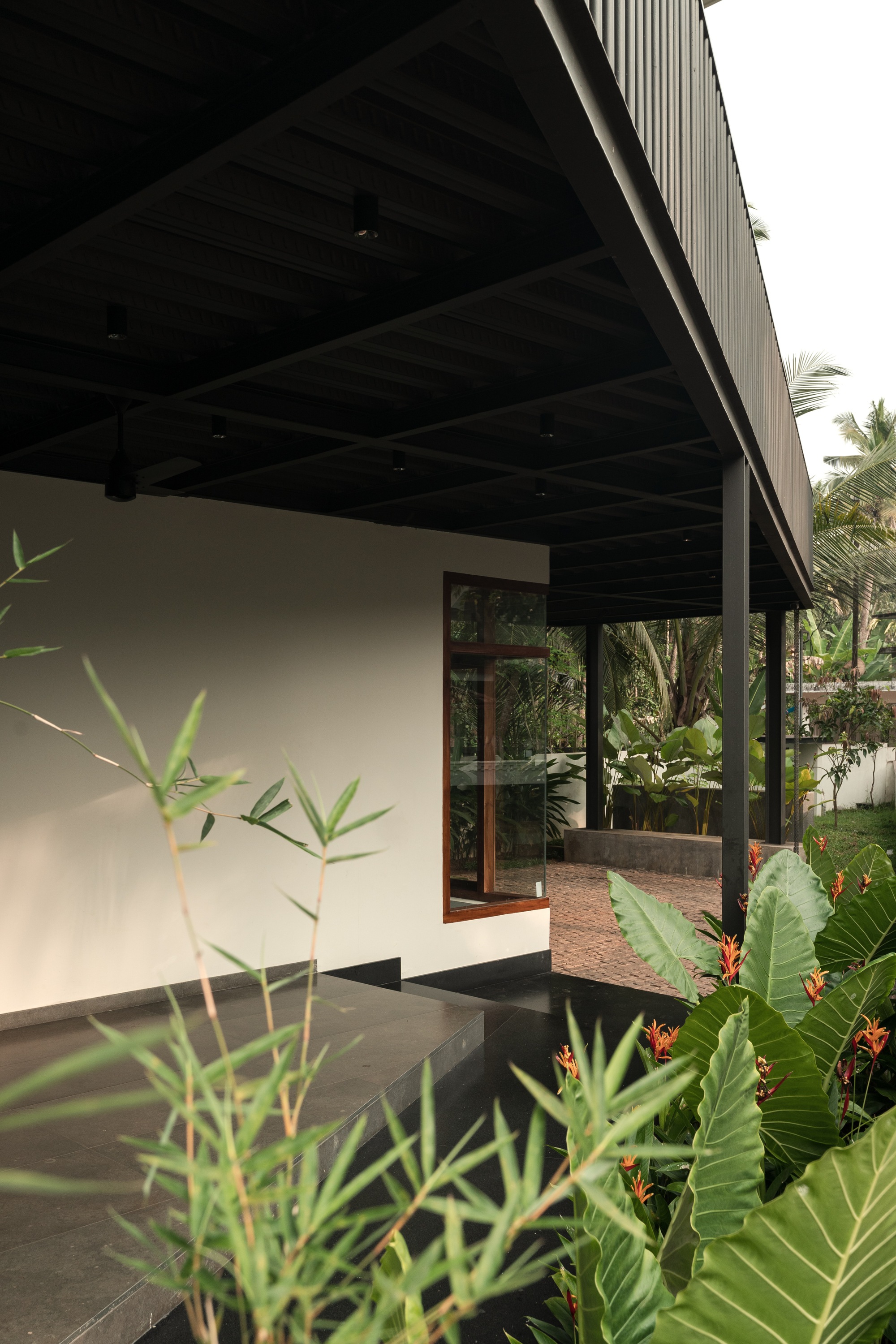 丨印度丨TROPICAL TONES-33