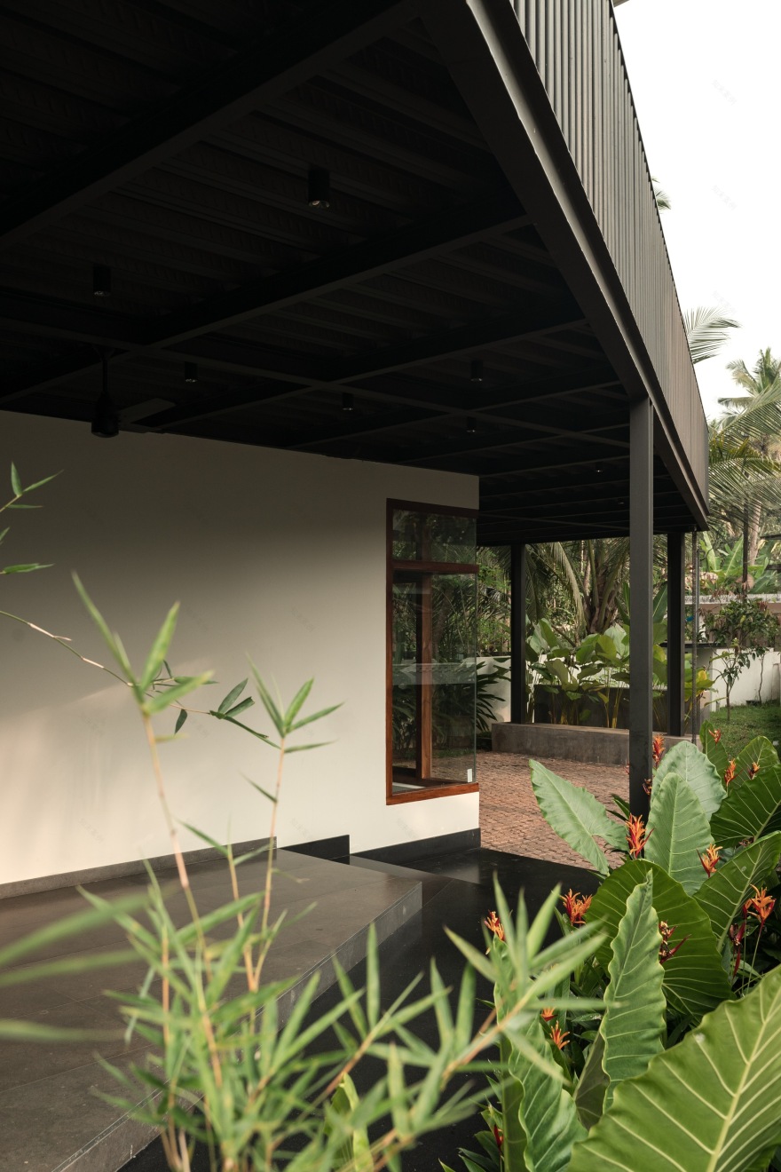 丨印度丨TROPICAL TONES-33