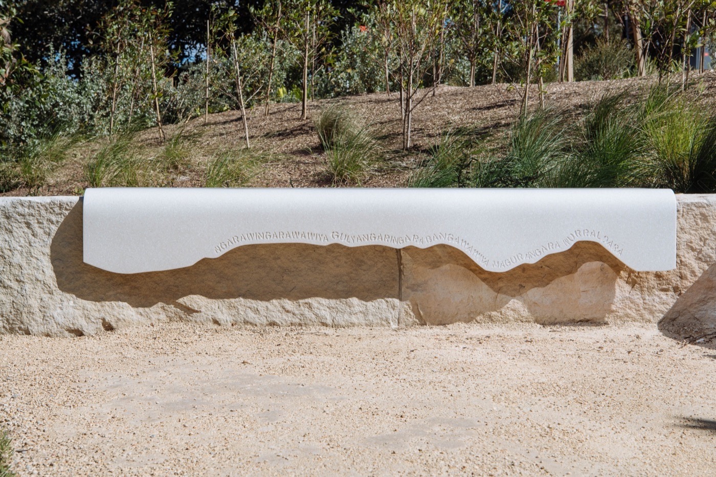 悉尼 St Leonards 健康组织迁址丨澳大利亚悉尼丨Arcadia Landscape Architecture-28