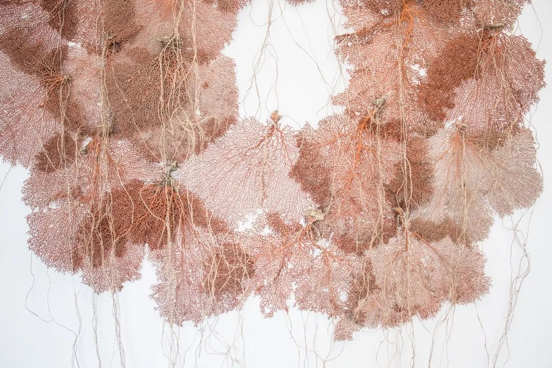 LV旅行箱全球巡展丨美国洛杉矶-91