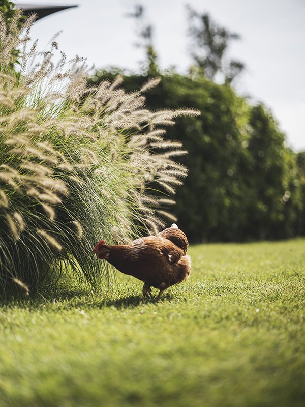 乡村公路别墅丨NOMAA|architectuur&interieur-9