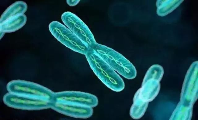 《Science》公布的 125 个最具挑战性的科学问题,你感兴趣的是哪个?-202