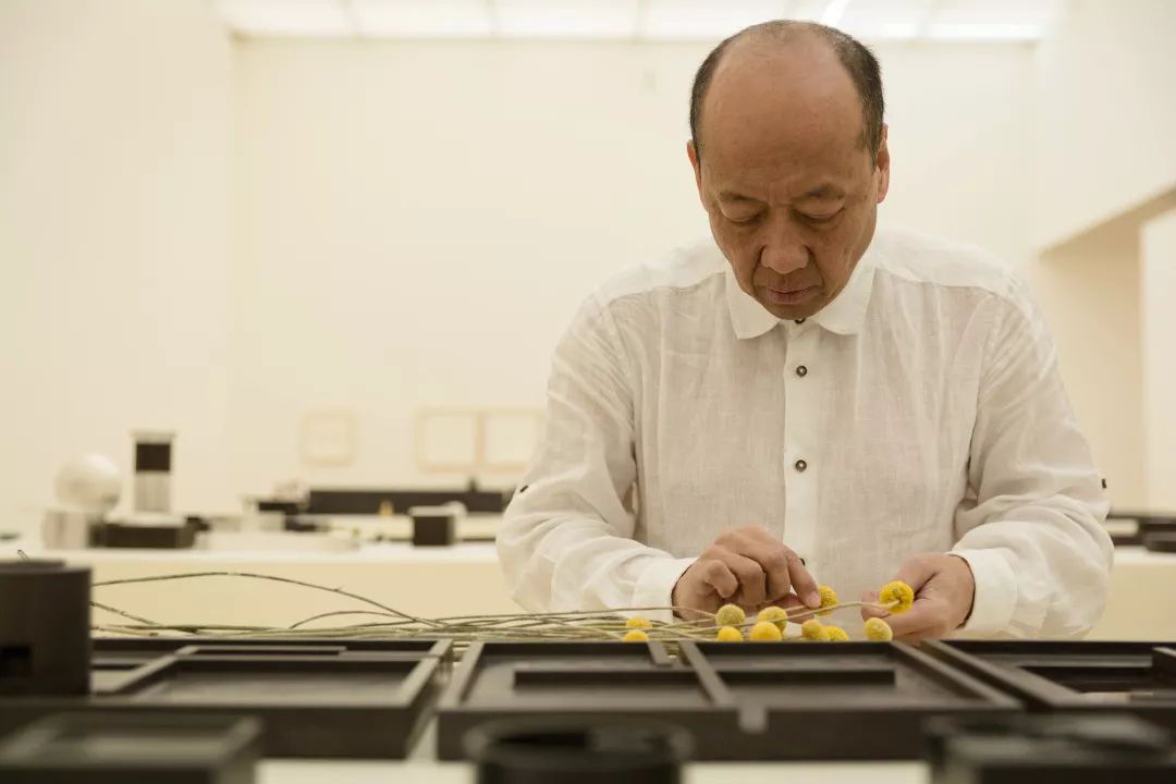 无华 · 卢志荣作品展-6