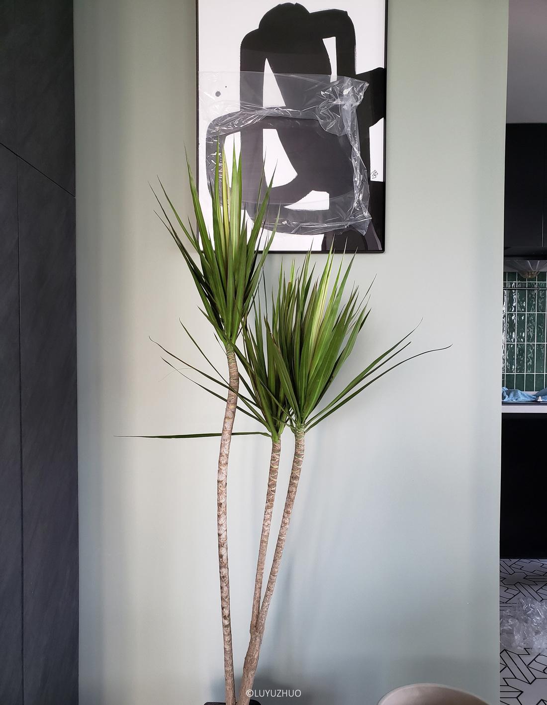 灰绿色住宅 · 为长久居家提供可能-60