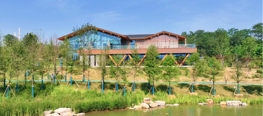 襄阳襄水岸线修复生态提升丨中国襄阳-13