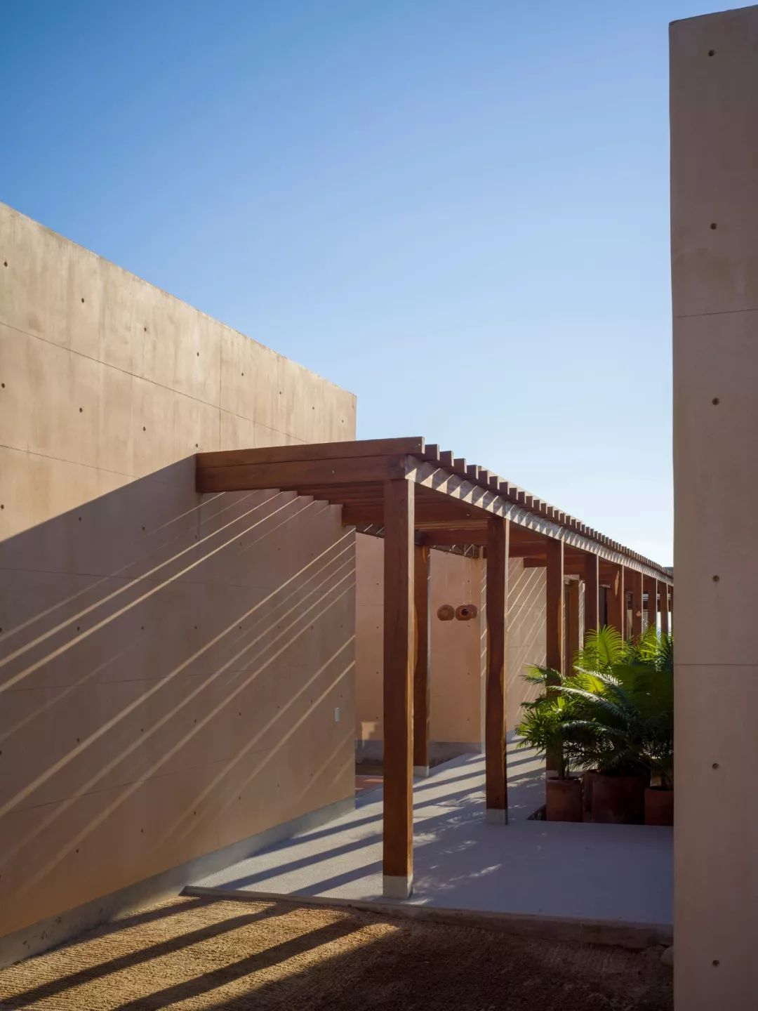 墨西哥里昂花园住宅 | 室内外和谐共生-38