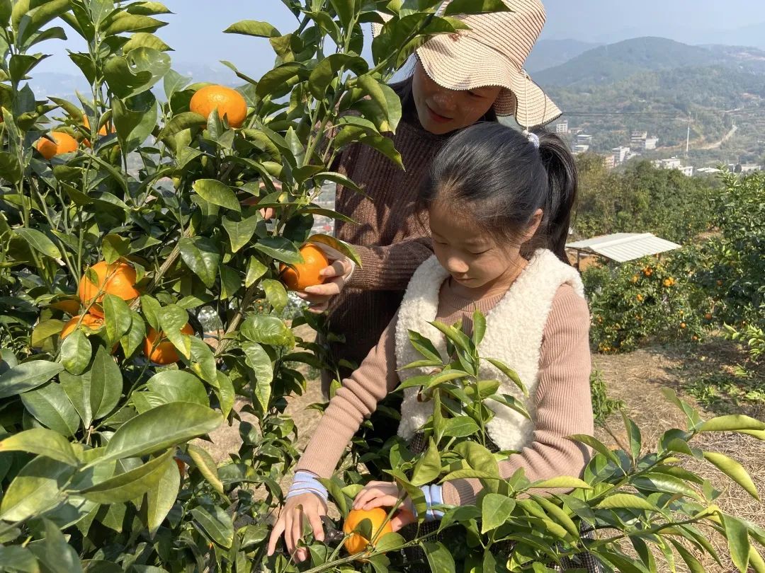 泉州华浔永春仙岭采风之旅丨中国泉州丨华浔品味装饰-13