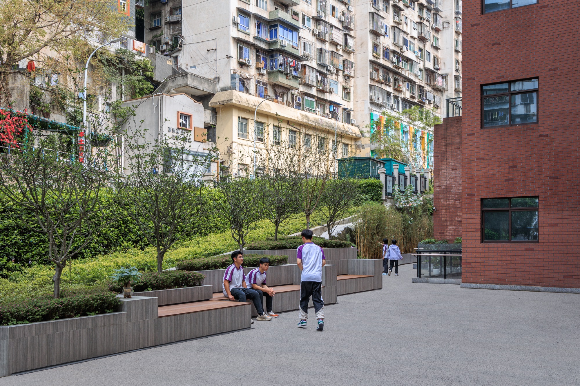 巴蜀中学张家花园校区景观改造丨中国重庆丨AF.d  奥凡设计（景观）,重庆市设计院城市建筑一院（建筑）-72