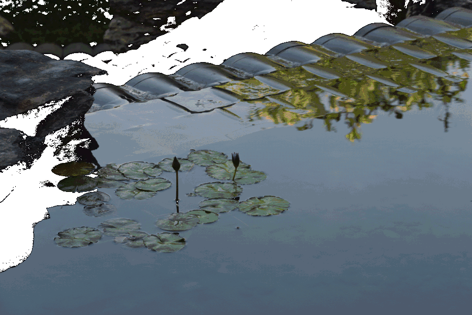 福建建发·玺院 | 赛瑞景观 | 中国福建三明-6