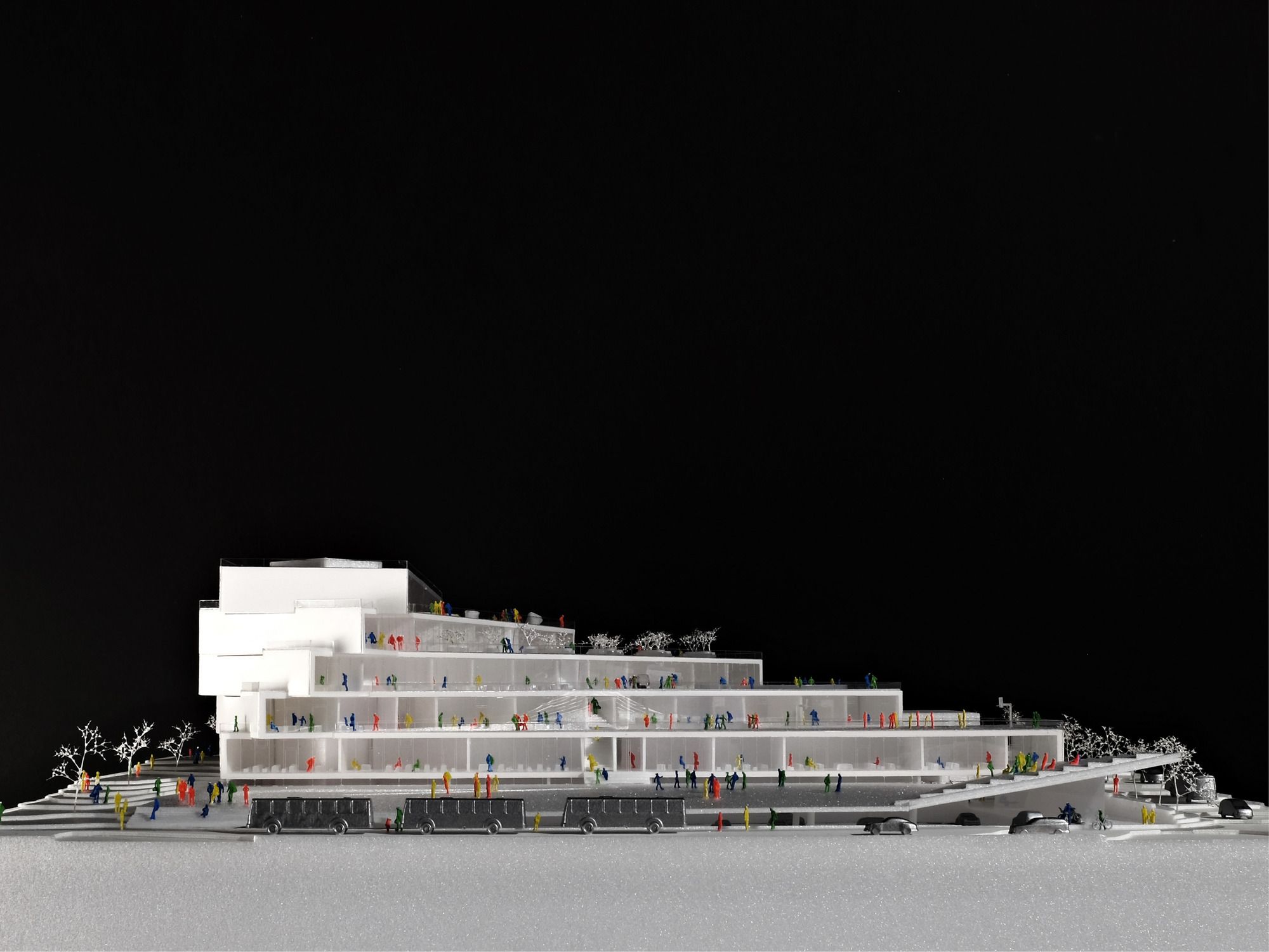 威尔逊中学·大·比雅克·英格斯-26