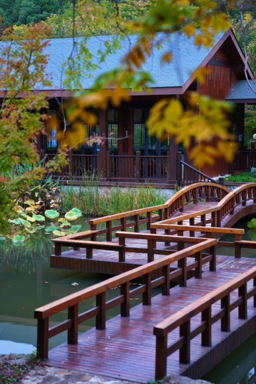 溧阳 1 号公路汨罗灞驿站丨中国江苏丨上海亦境建筑景观有限公司,上海交通大学设计学院风景园林研究所-46