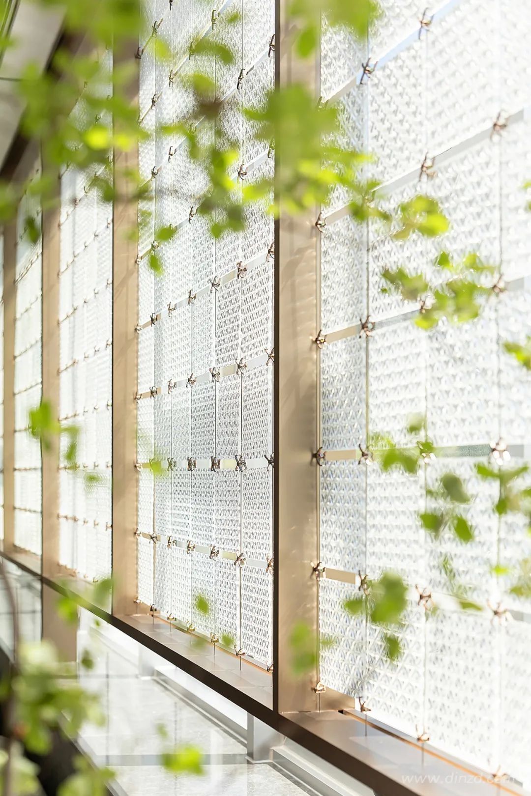 冷元宝新作 | 半生山海，觅见上善若水-80