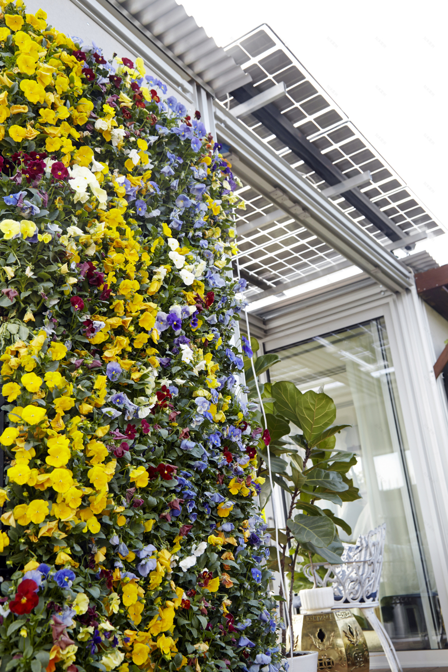 爱彼迎生态舱丨法国尼斯-47