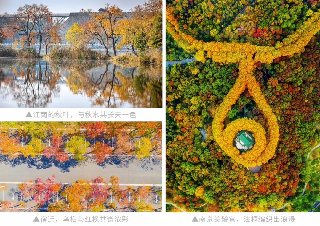 花城广州,四季繁花似锦的生态城市设计丨中国广州丨茏腾园林-10