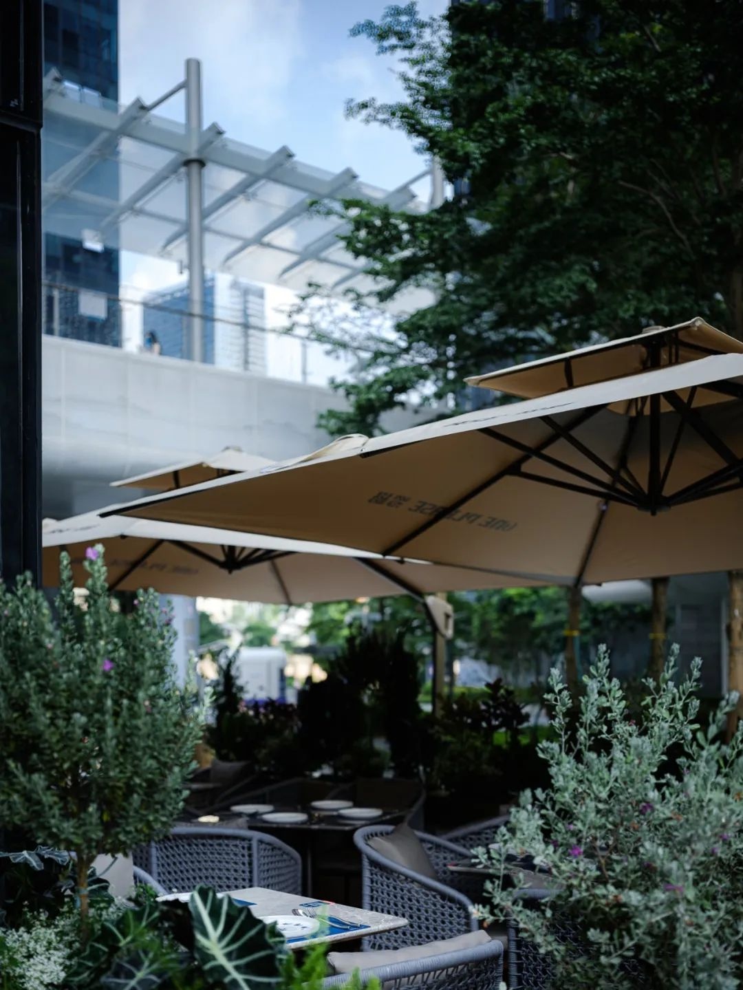 深圳罗格One Please俄式餐吧丨中国深圳丨RBD瑞本设计-56