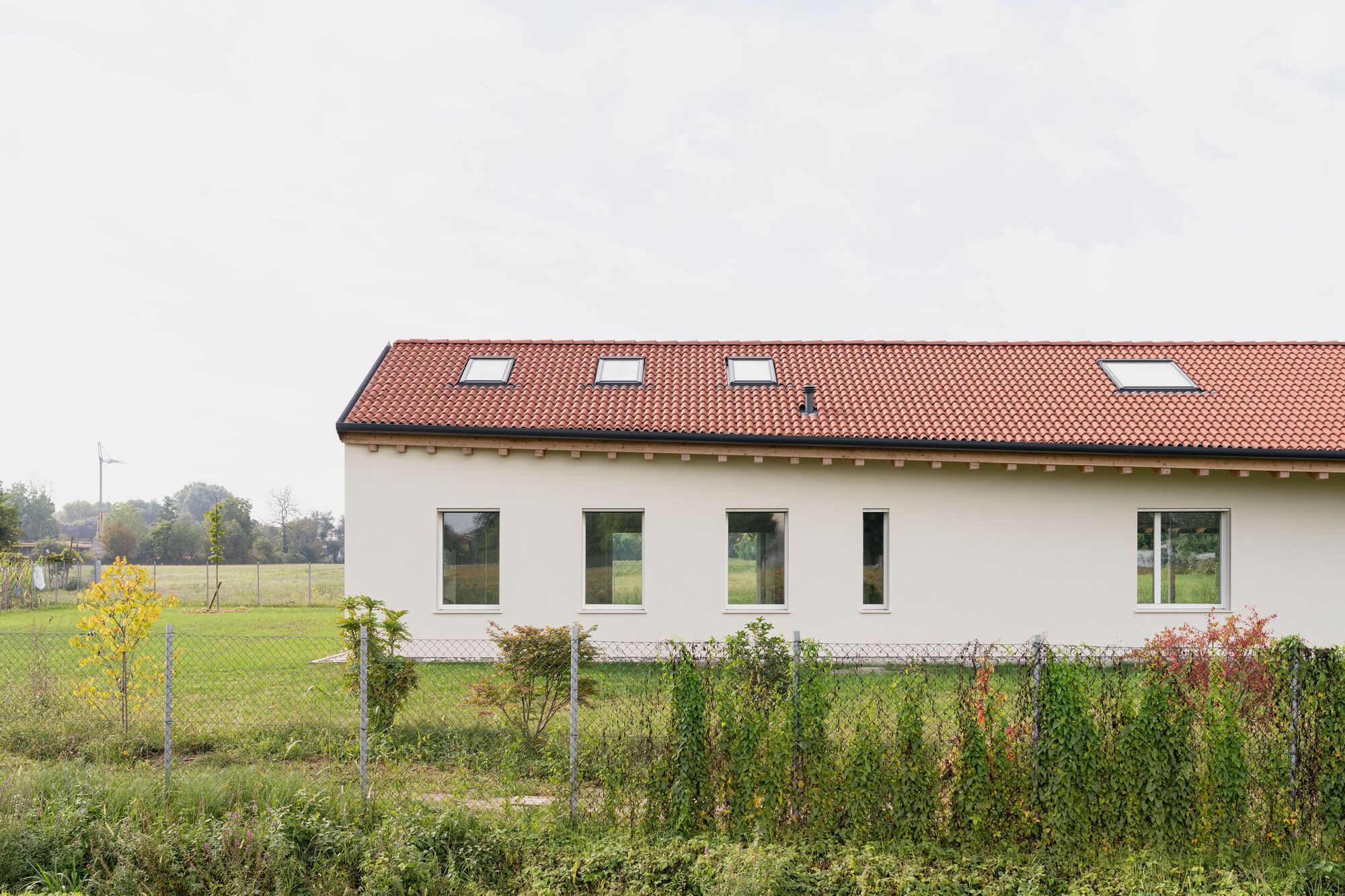 丨意大利丨Marco Turcato-10