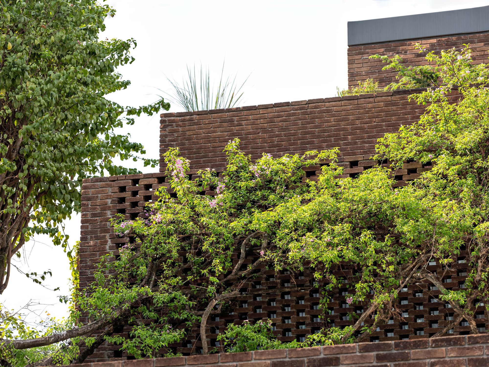 丨巴西圣保罗丨Felipe Hess Arquitetos-36