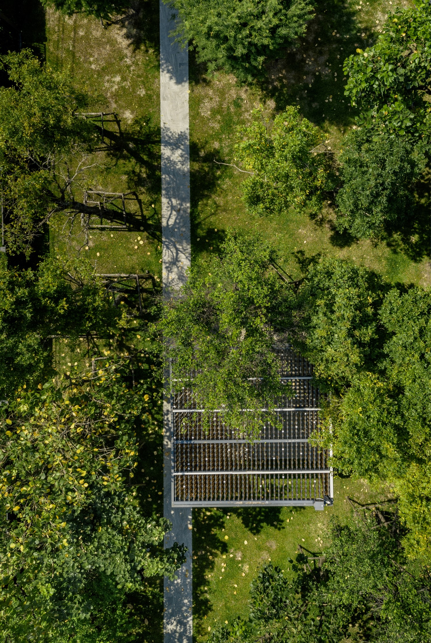 班·伊萨拉·邦纳-12