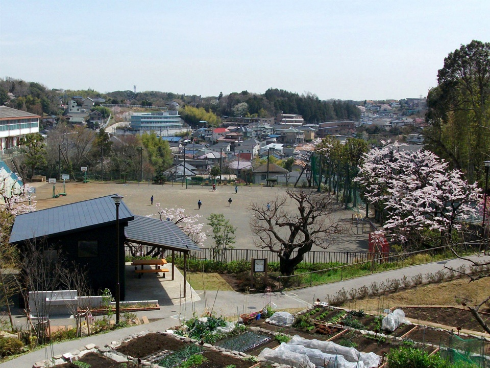 日本横滨南本宿第三公园农园设计丨株式会社户田芳树风景计画-3