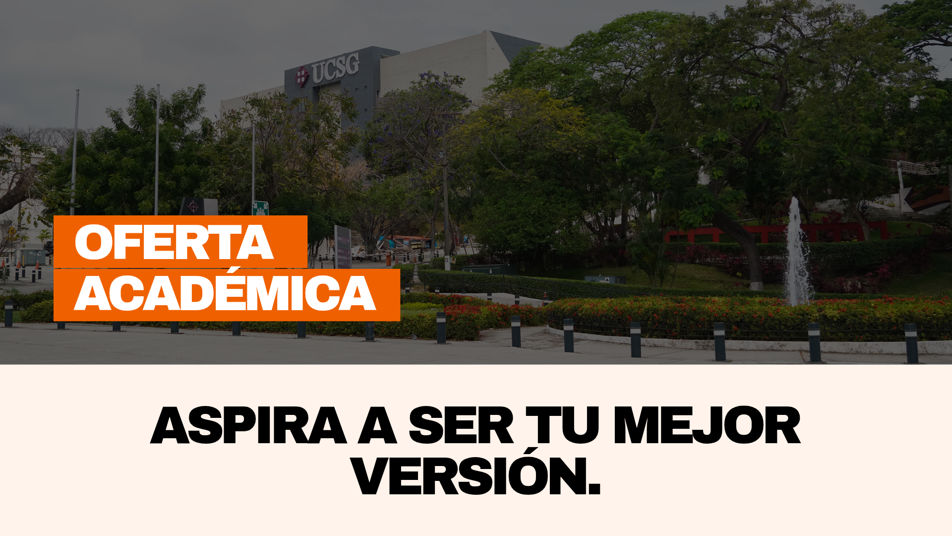 página web-20