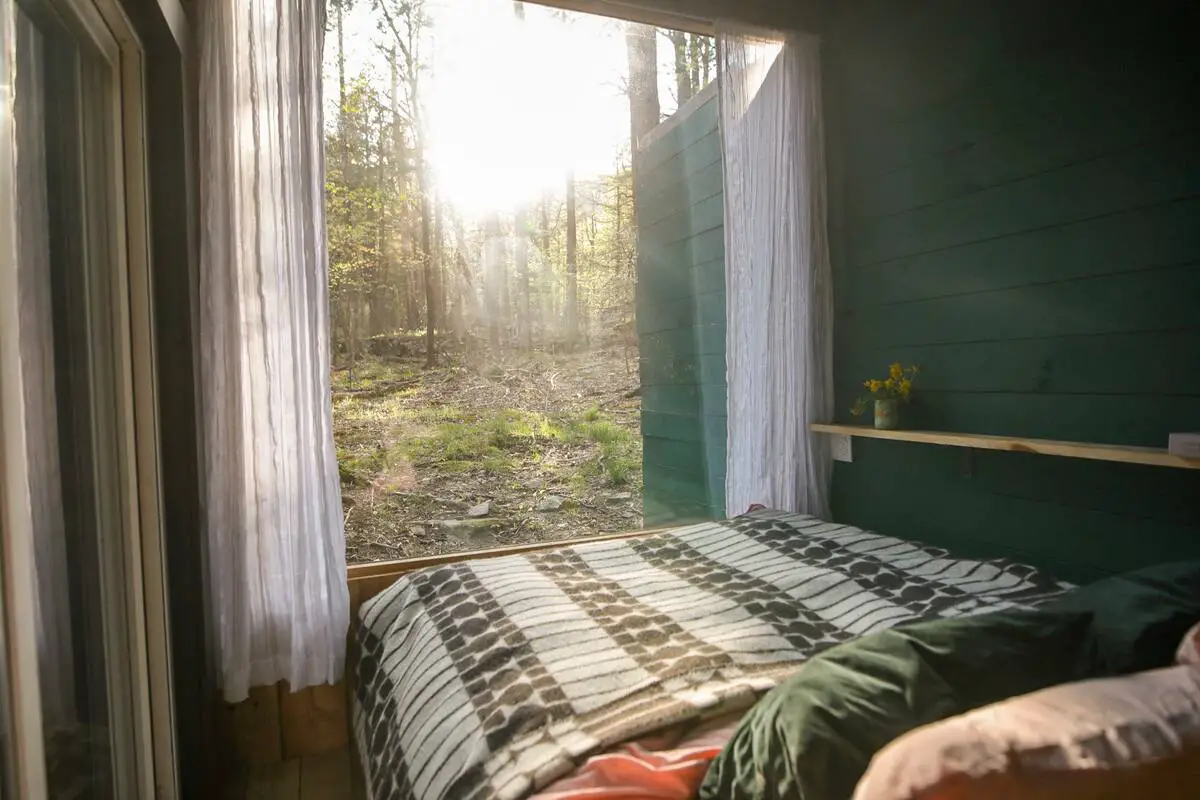 森林之居 | 集装箱改造的舒适度假屋-8