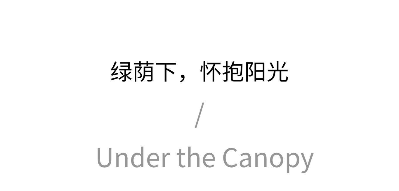 木与光的平衡术丨中国绍兴丨FOFO Design-21