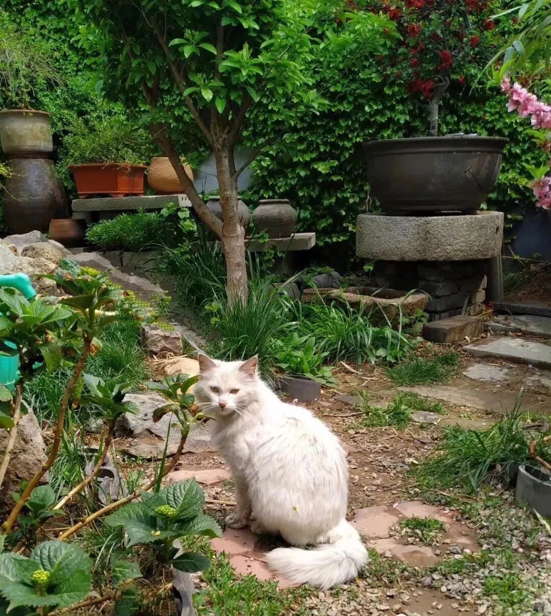 郊区“同居式”养老生活 | 自由、快乐、充实-32