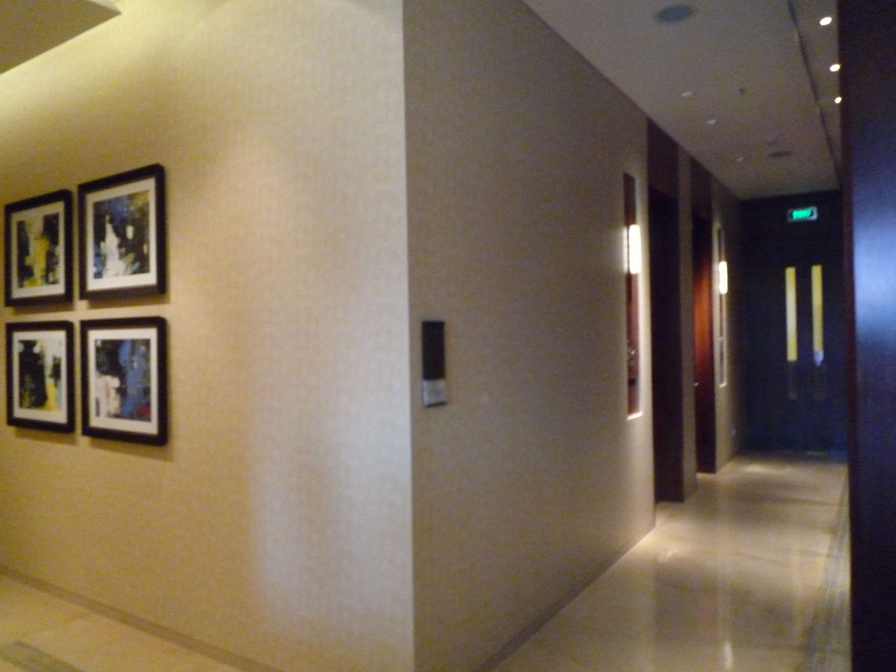 HBA  深圳丽思卡尔顿酒店   -3-17