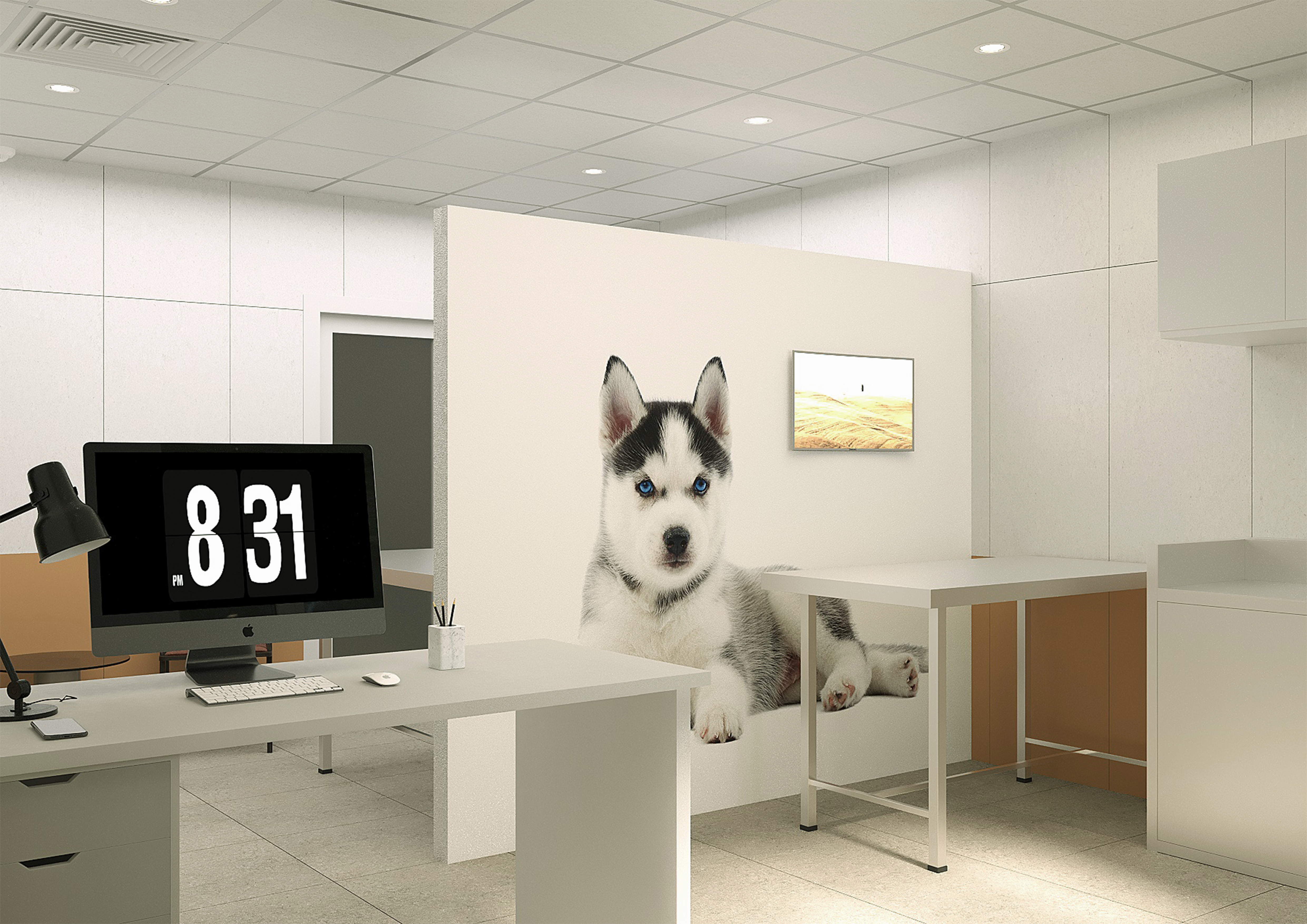 Разработка 3D визуализаций интерьера ветклиники-3