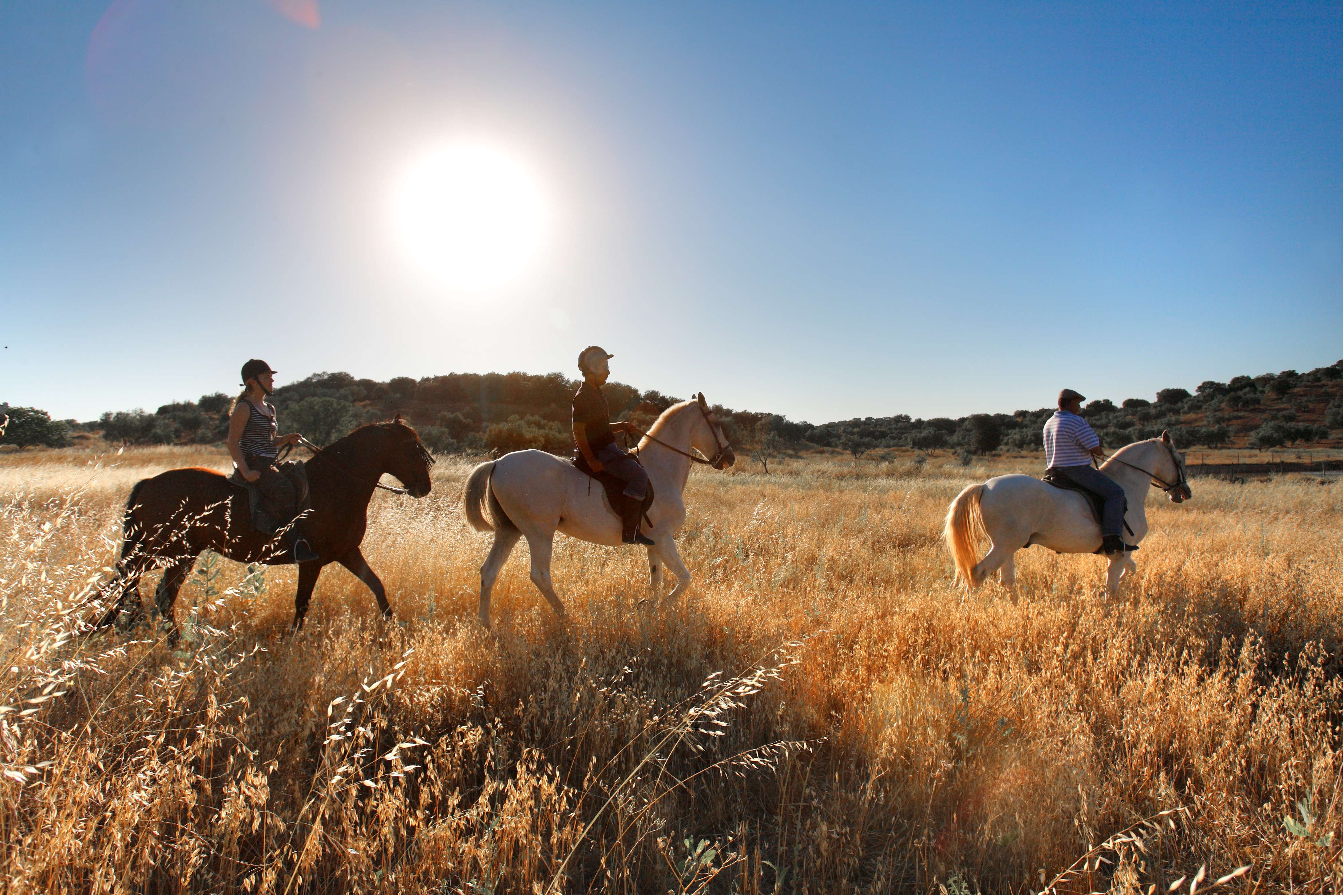 西班牙巴尔塞洛波巴迪亚酒店-32