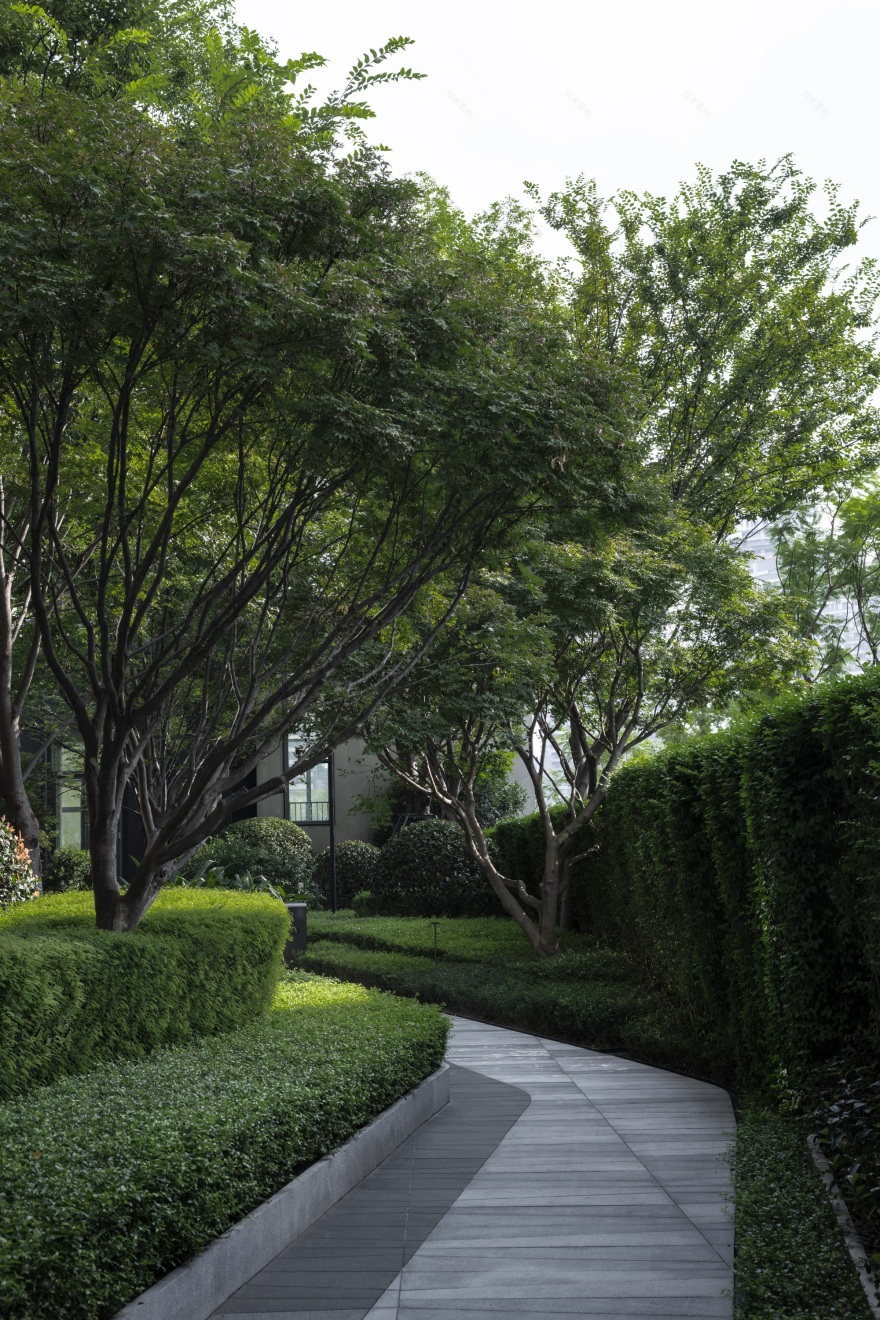 万华麓湖【鲲鹏阁 鲲鹏荟】焕新丨中国成都-101