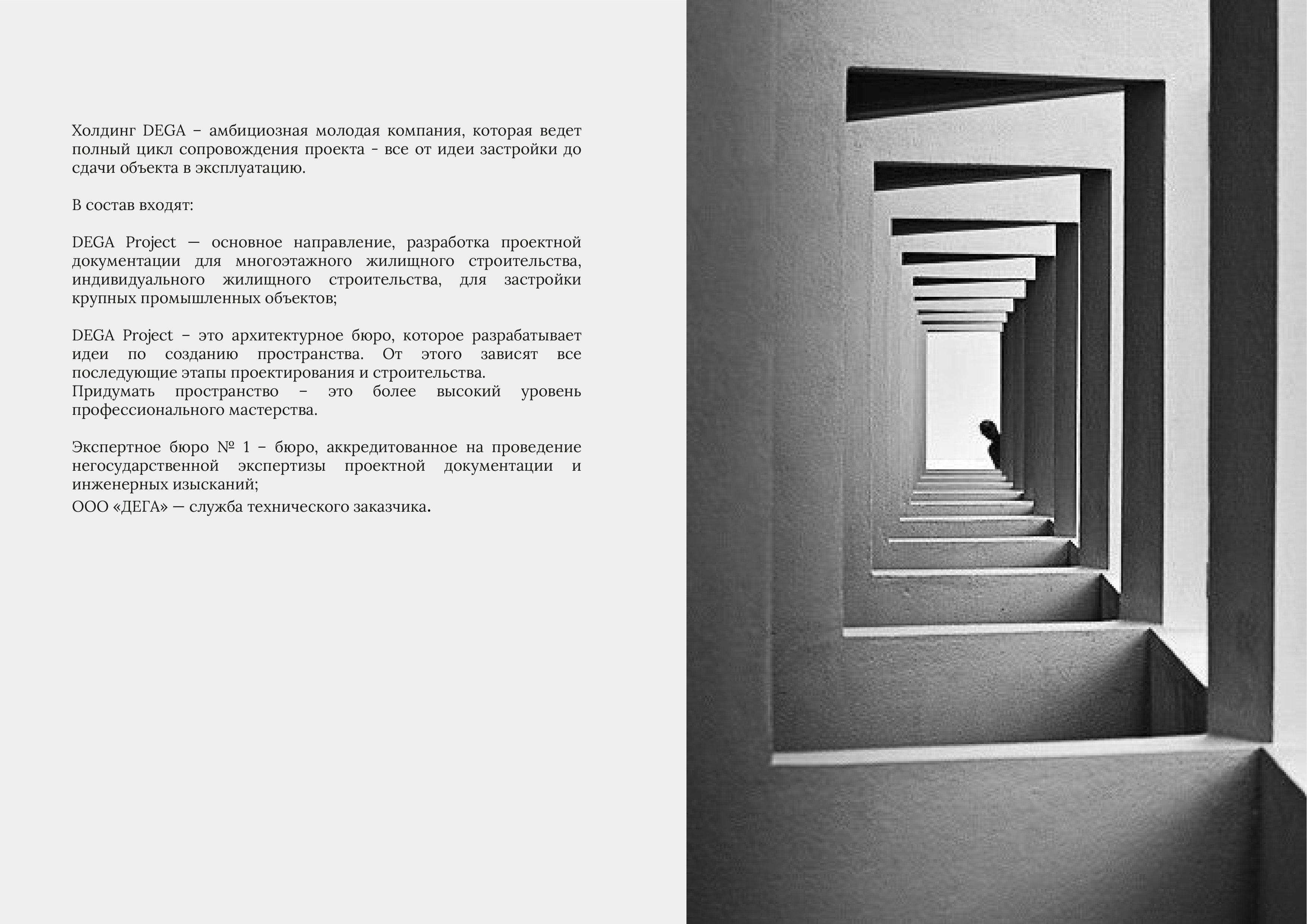 DEGA 集团公司标志设计-11