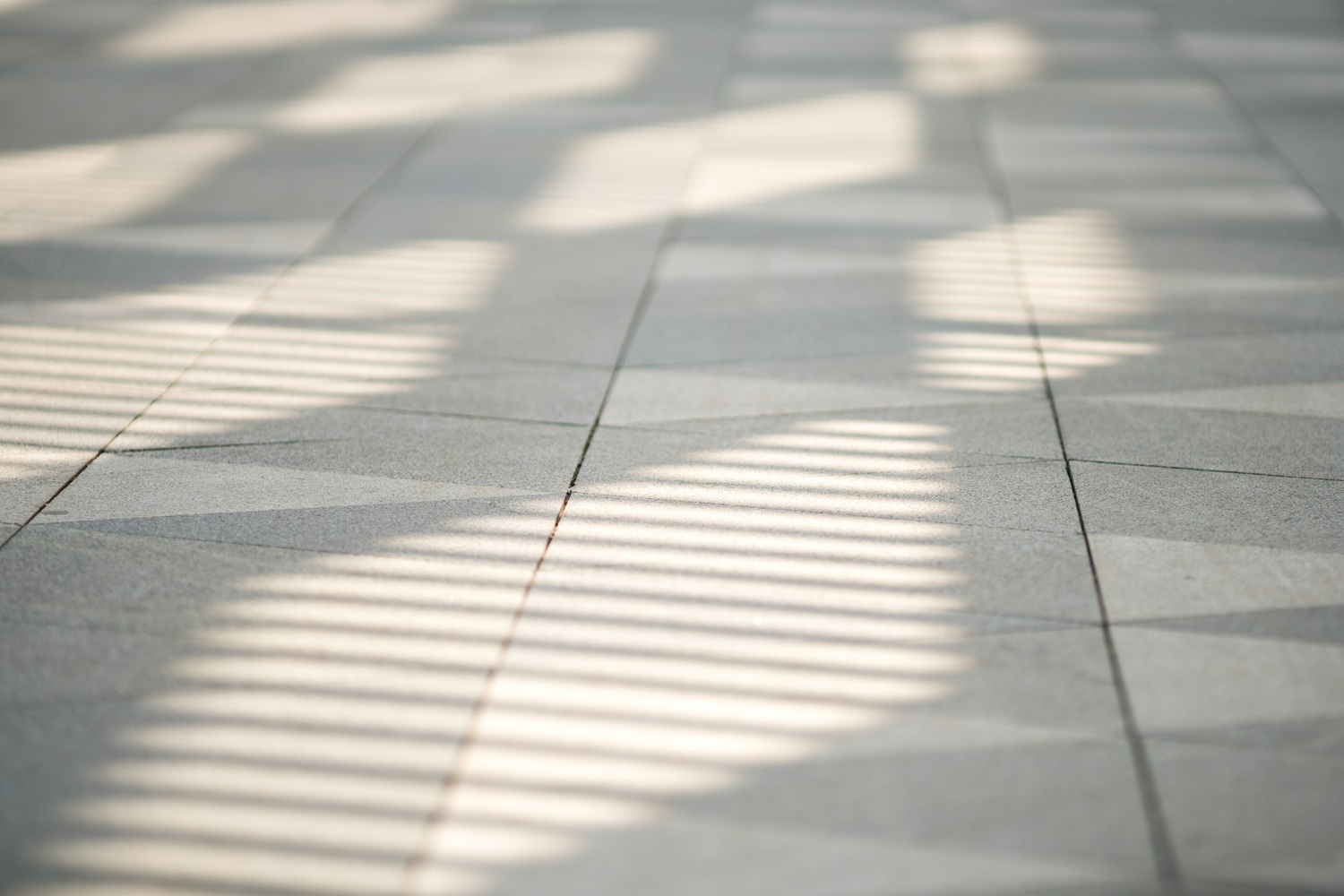 DEEJ Factory  5+design-81