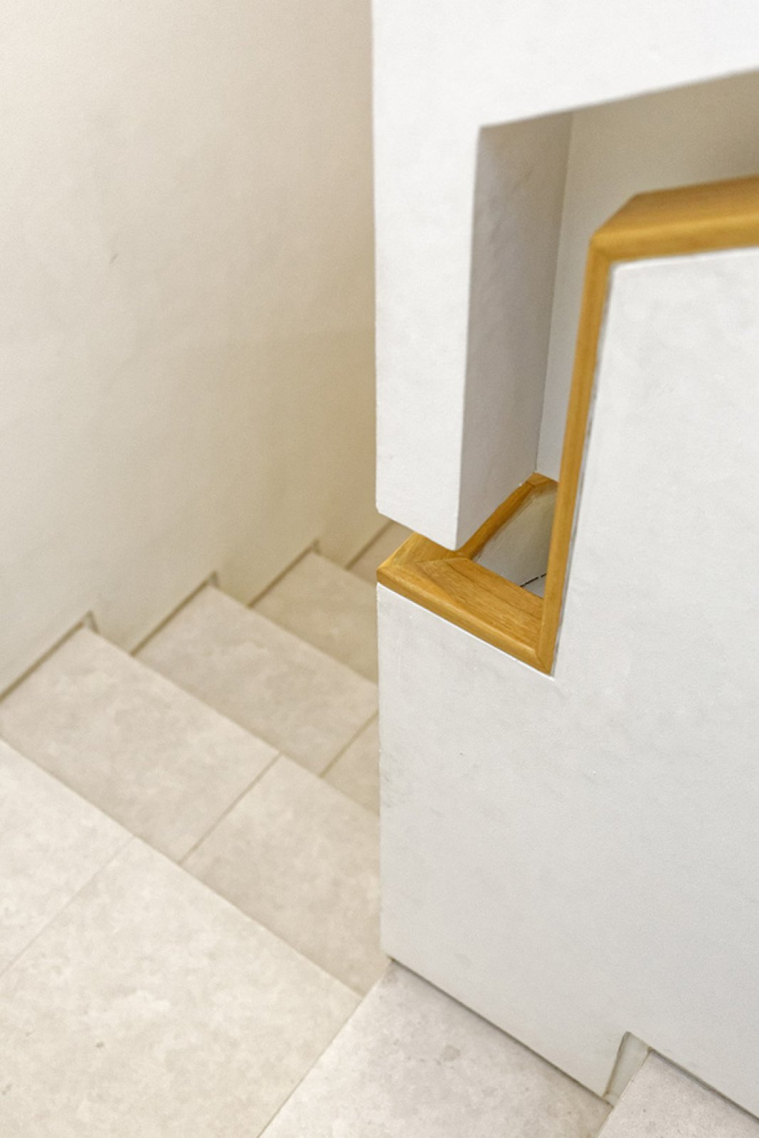 内嵌住宅——210㎡印尼住宅中搭建“飞行花园”-43