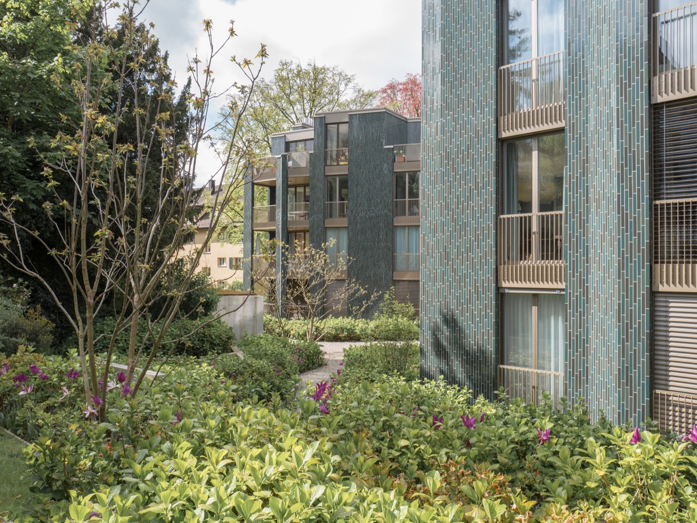 融合历史与自然的瑞士住宅设计-5