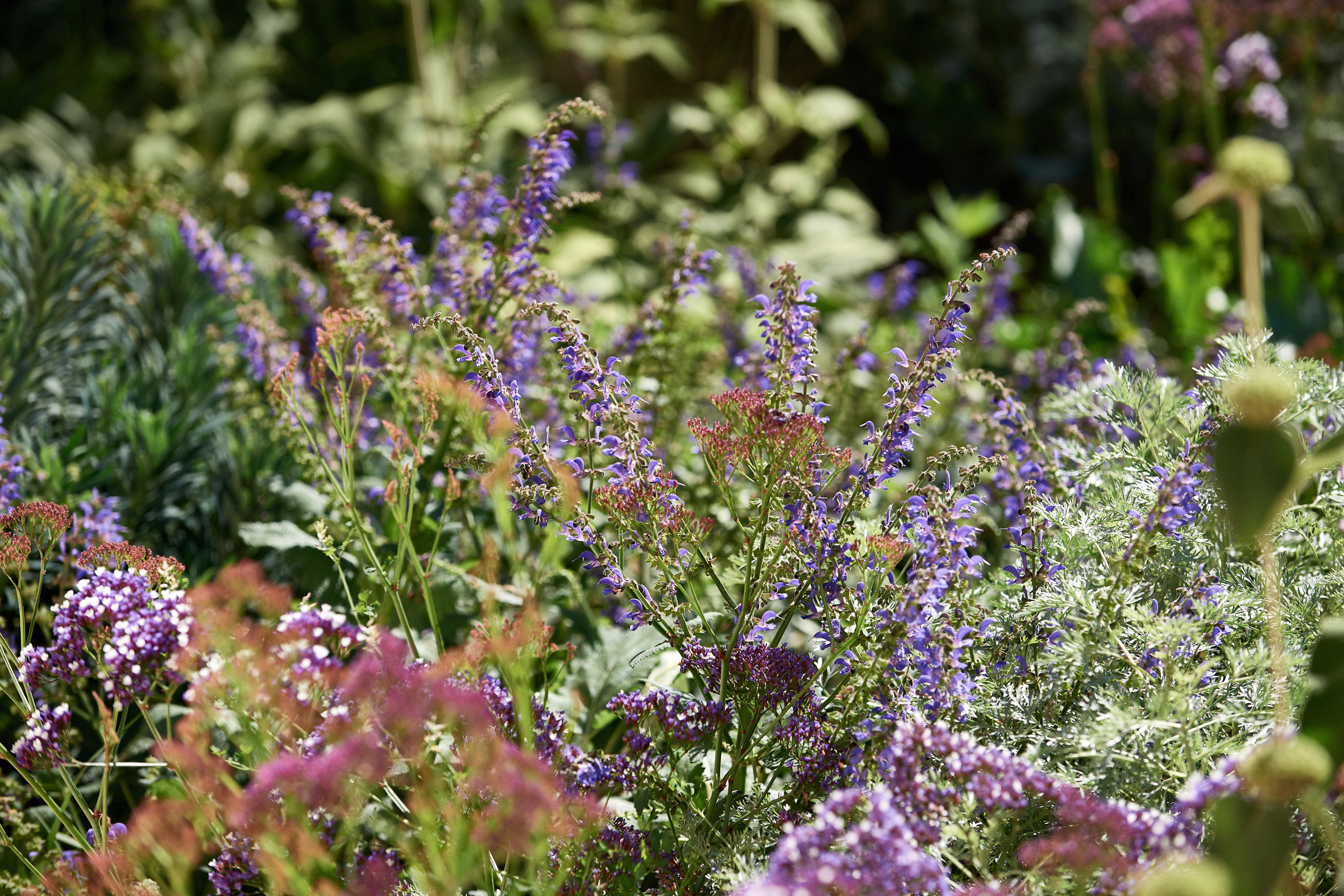 古海军医院重生，Hauser & Wirth 打造地中海艺术中心-40