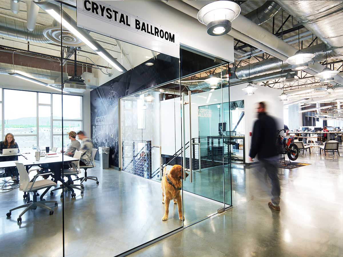 音乐运动融入办公空间——Skullcandy 总部室内设计-13